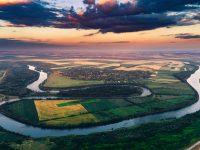 Moldova ecosystem restoration
